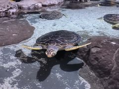 -郑州海洋馆
