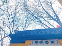 -雨花胜境