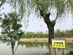 -东郊湿地公园