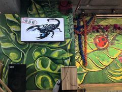 -上海大自然野生昆虫馆(东方明珠·爬宠昆虫探索中心)