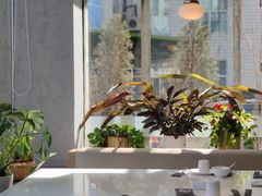 -衡山汇·高级粤菜(霄云路店)