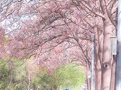 -亦庄创意生活广场