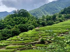 -石台牯牛降景区