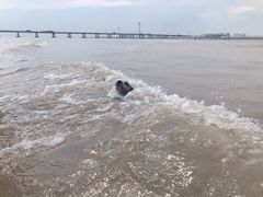 -南汇新城海滩