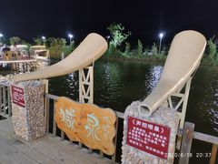 -一煲鸽