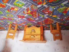 -金山农民画村-枫泾波兰倒置屋