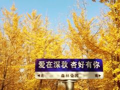 -森林公园(尖草坪区)