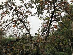 -敬亭山风景名胜区