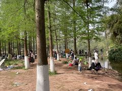 -重庆彩云湖湿地公园