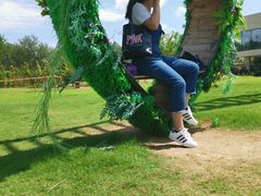 -黄海国家森林公园