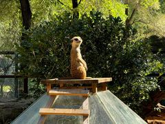 -沈阳森林动物园