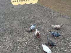 -黔灵山公园