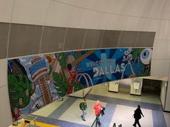 -达拉斯 沃斯堡国际机场