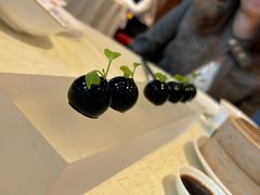 -香乐园·淮扬菜中餐厅·Shang Garden(福田香格里拉店)