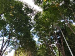 -郑州植物园
