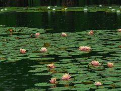 -白鹭湾湿地公园