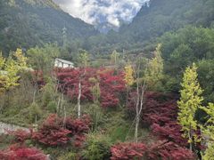 -古尔沟华美达温泉度假酒店