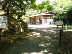 -岚山猴子公园