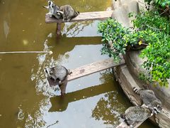 -长鹿旅游休博园