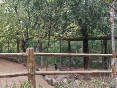 -青藏高原野生动物园