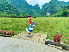 -靖西鹅泉风景区