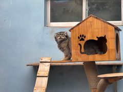 -青藏高原野生动物园