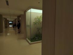 -柏乐口腔医院·舒适化无痛种植牙中心(东盟商务区院)