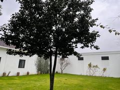 -健眺小海鲜(临海后山店)