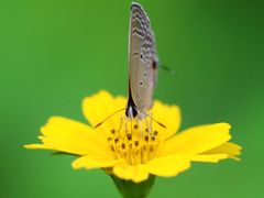-佛山市三水区大南山森林公园