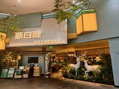 -新白鹿餐厅(城西银泰城店)