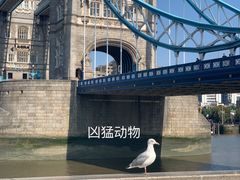 -伦敦塔桥