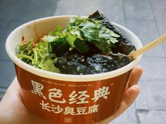 -黑色经典臭豆腐·湖南特产(步行街店)