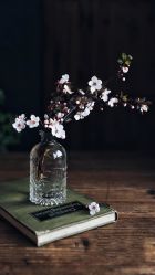 -时尚殿堂hair salon