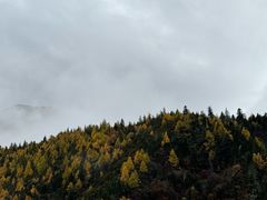 -亚拉雪山风景区