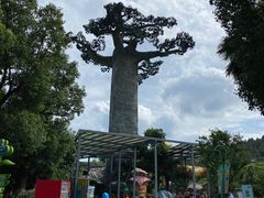 -苏州乐园森林水世界