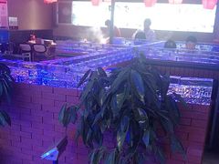 -山河屯铁锅炖鲜鹅·东北菜(开发区一店)