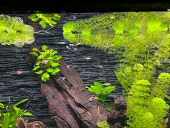 -上海海洋水族馆