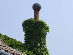 -大连蚂蚁岛度假区