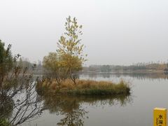 -东郊湿地公园