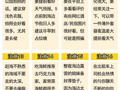 -日照海滨国家森林公园