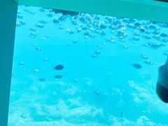 -亚龙湾海底世界
