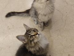 -宁波杉井奥特莱斯广场