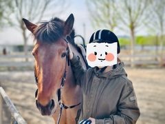 -北京群众马术培训基地