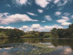 -西溪国家湿地公园