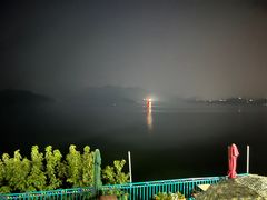 -望湖烤鱼