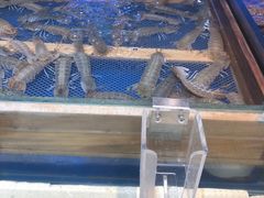 -永红源啤酒·烧烤·海鲜·大排档(青特城店)