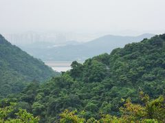 -清溪森林公园