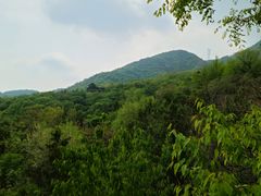 -阳台山自然风景区