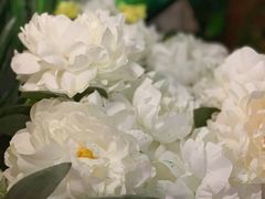 -印象莫奈时光映迹艺术展