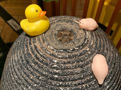 -仓桥家·焗寿司·锅物(光谷步行街店)